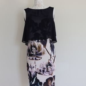 Phase Eight Dress